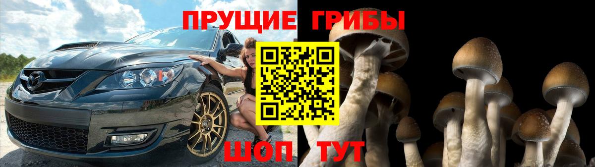 Приморско-Ахтарск  Псилоцибиновые грибы мицелий  Вход с VPN 